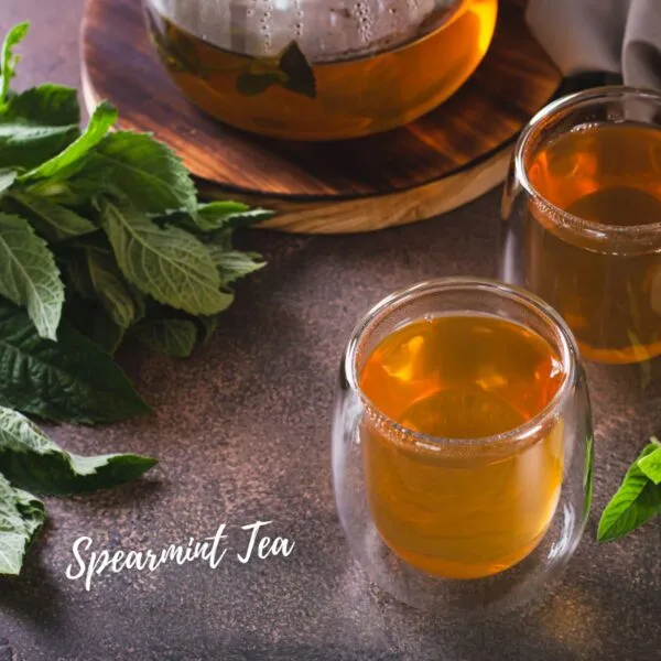 Spearmint Tea